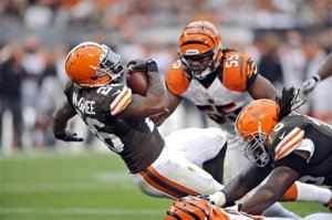 2014_01_mcgahee_browns_right