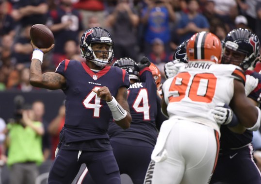 Deshaun Watson,Ricardo Louis